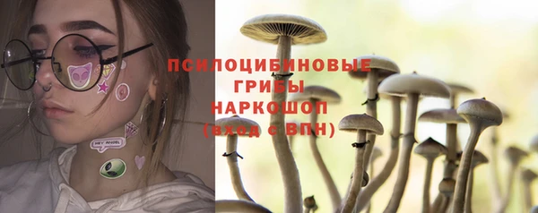 дмт Беломорск