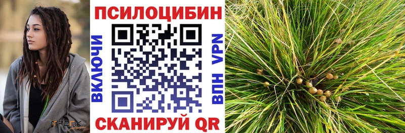 Галлюциногенные грибы Psilocybe  Ялуторовск 